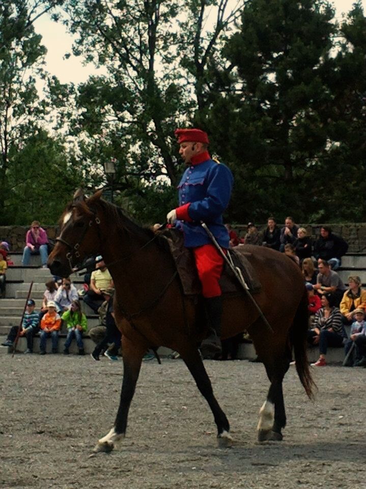 Partie krásného dragouna